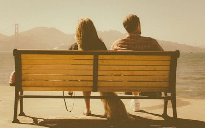 Is your Will up to the job? Put your Will to the test with our Free Review Service