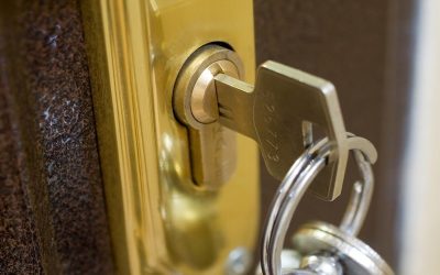 Understanding the Differences Between a Will and a Trust
